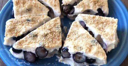 Lemon Blueberry Cheesecake Yogurt Bark 1