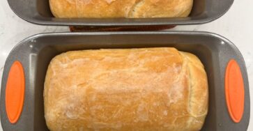 0be50257aec26b3e1c8f66a23cfe31e9