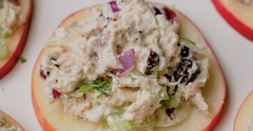 Cranberry Chicken Salad With Apple Slices 3