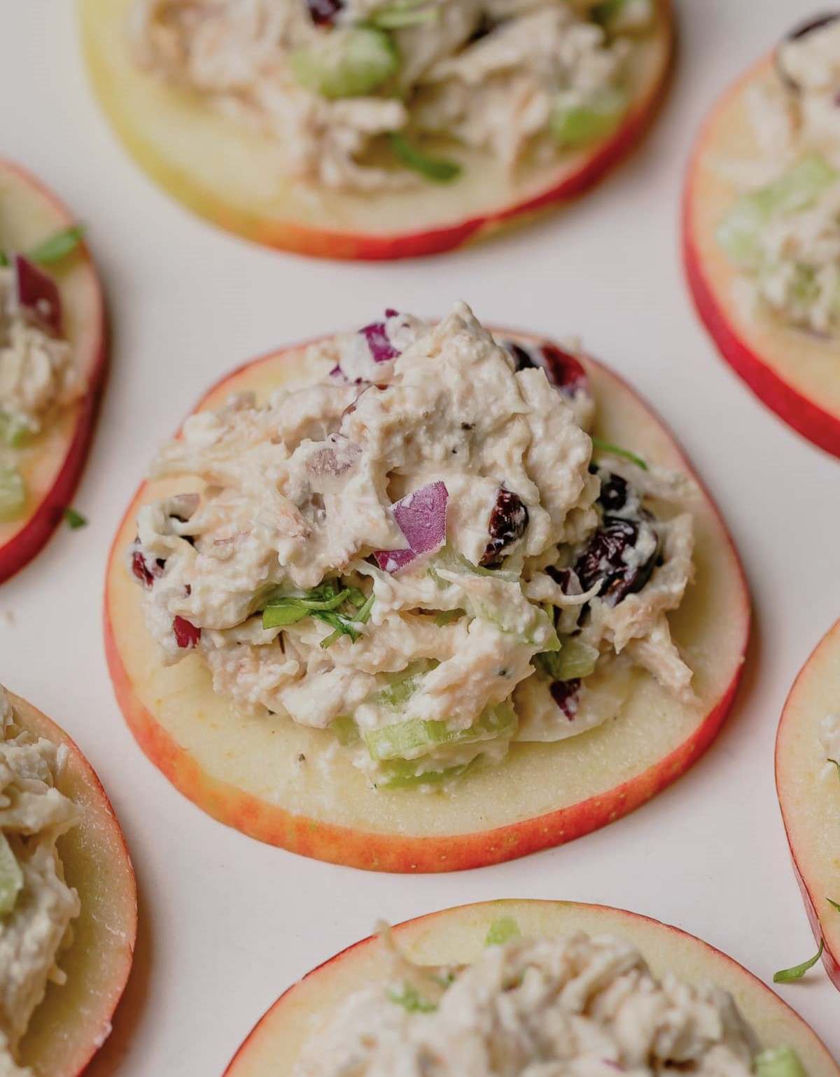 Cranberry Chicken Salad With Apple Slices 3