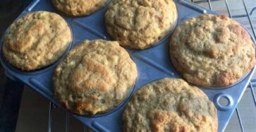 Freshly Baked Kodiak Muffins1200