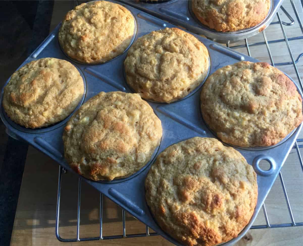 Freshly Baked Kodiak Muffins1200
