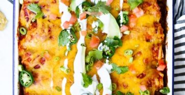 Gina Skinny Chicken Enchiladas 4 3