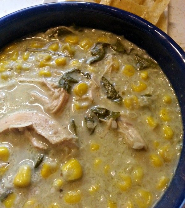 Weight Watchers Green Chile Chicken Enchilada Soup2