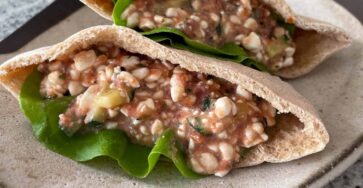 Cottage Cheese Salsa Pita Sandwich