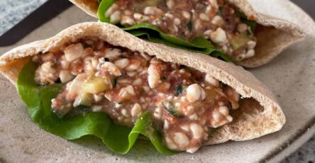 Cottage Cheese Salsa Pita Sandwich