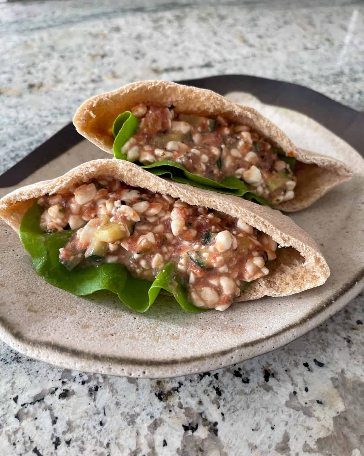 Cottage Cheese Salsa Pita Sandwich