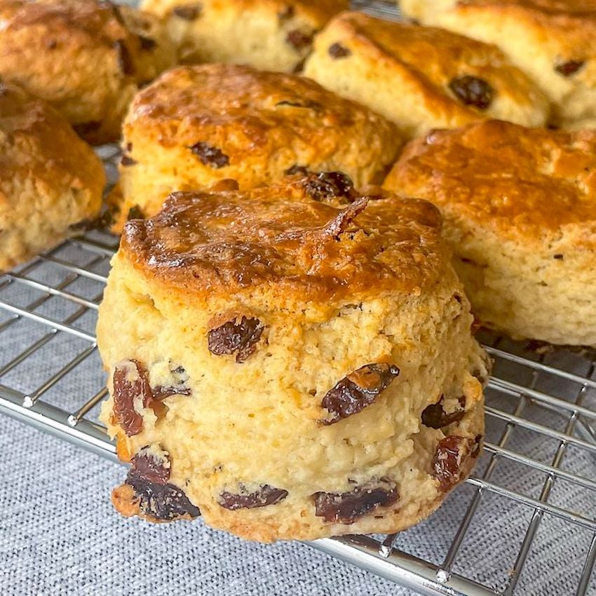 Newfoundland Raisin Buns Close Up Photo For Featured Image