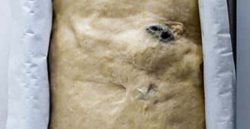 Ced2567a921d49a45bc01c8656c03dba