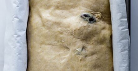 Ced2567a921d49a45bc01c8656c03dba